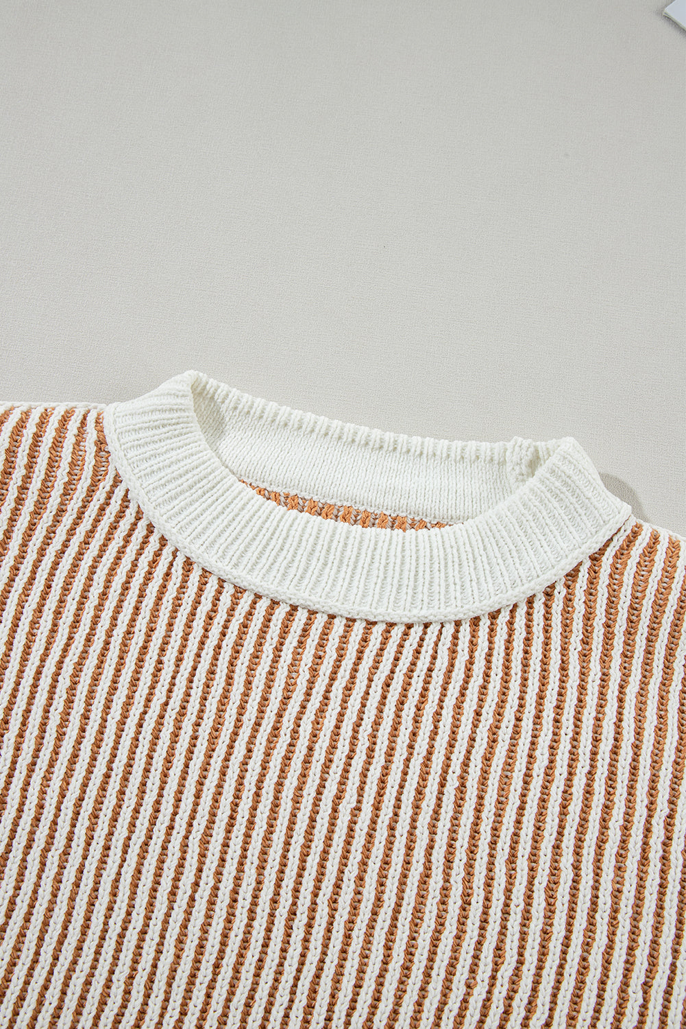 Chestnut Striped Contrast Trim Loose Sweater