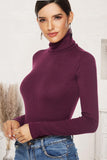 Ribbed Turtleneck Long Sleeve Bodysuit - PD SECRET REALM